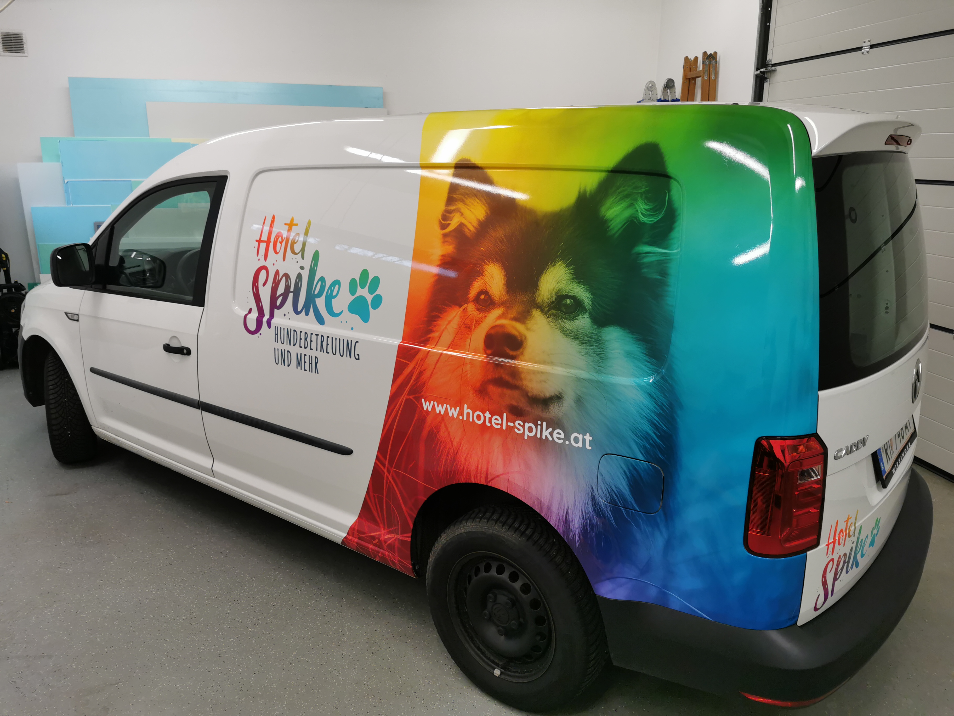 Bild 2 von House of Colors