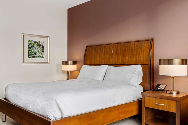 Images Hilton Garden Inn New Orleans French Quarter/CBD