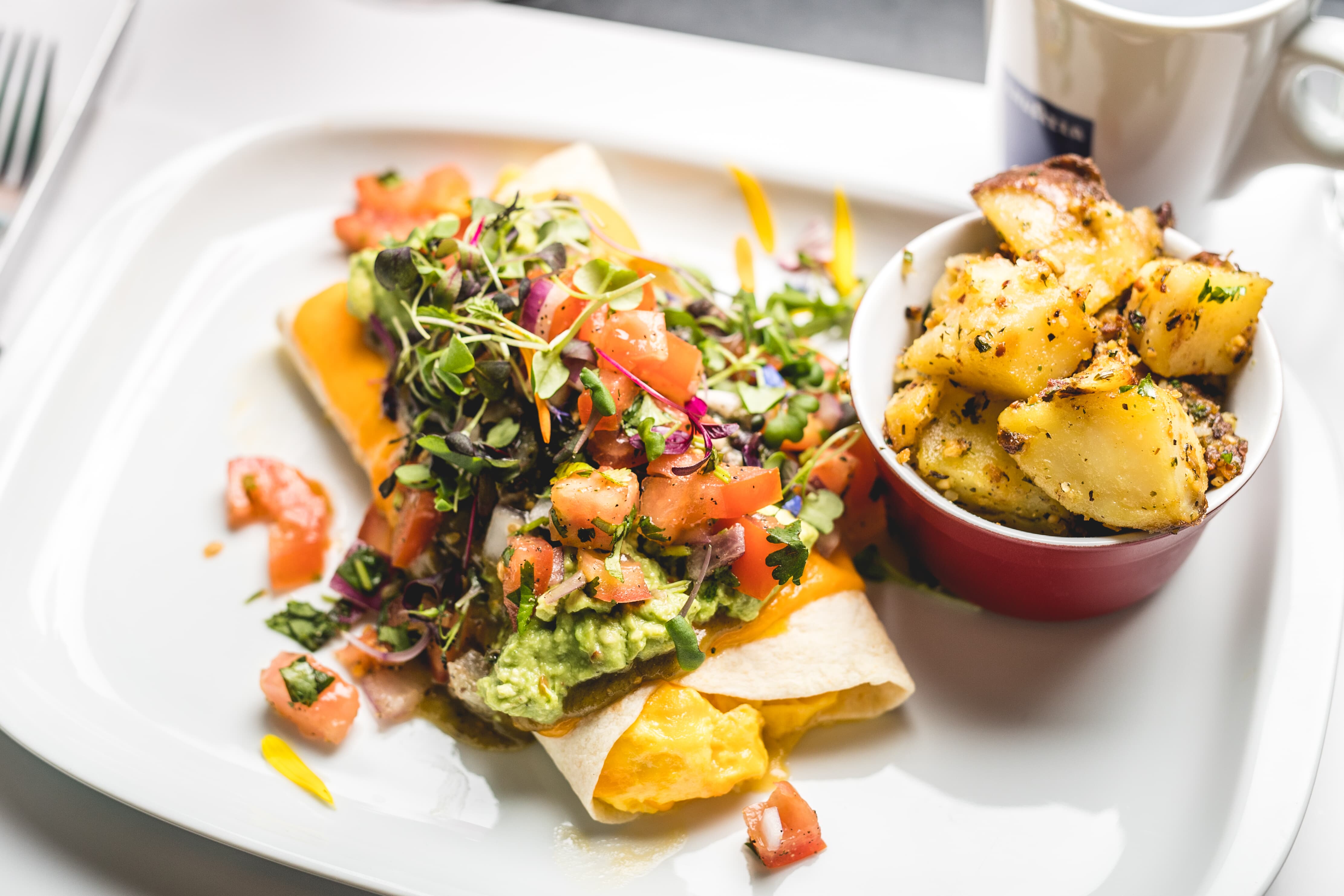 Images Restaurant L'Avenue Mont-Royal