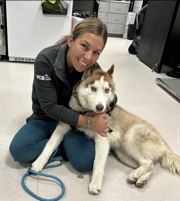Images Shrewsbury Animal Hospital