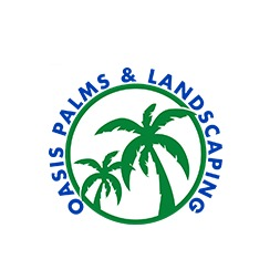 Oasis Palms and Landsaping - Tampa, FL - (813)433-3376 | ShowMeLocal.com