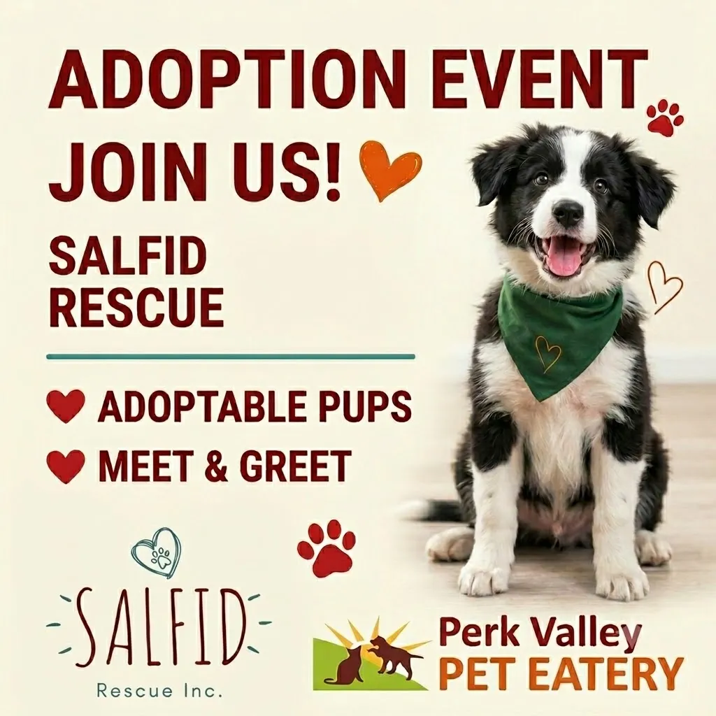 Image of Local Pet Event Salfid Rescue Adoption Meet & Greet Nearby