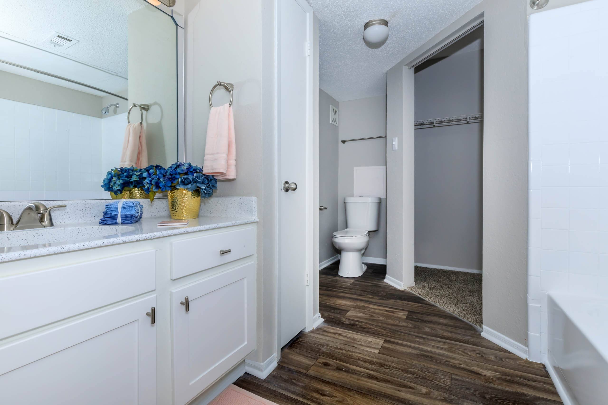 a bathroom with a sink and a toilet