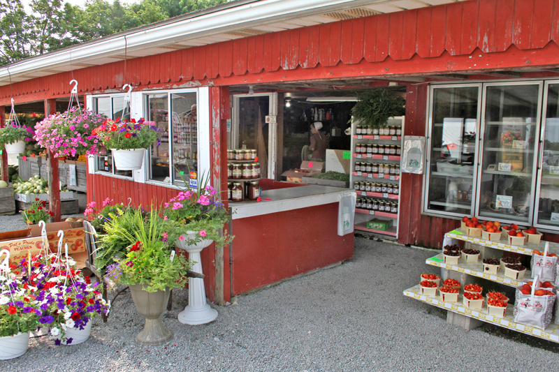 Miller's Farm Market in Millersburg, OH Produce Yellow Pages