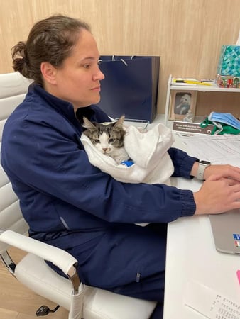 Images Petfolk Veterinary & Urgent Care - Peachtree Corners