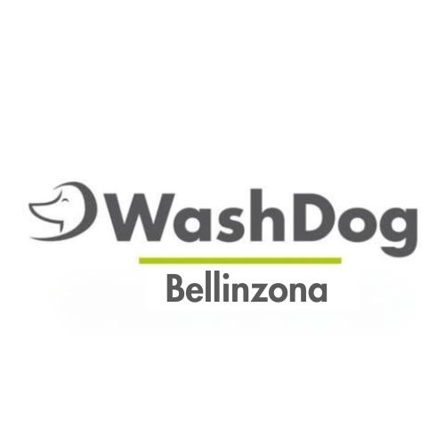 Bilder WashDog Bellinzona