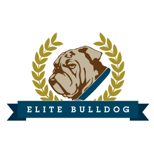 Elite Bulldog