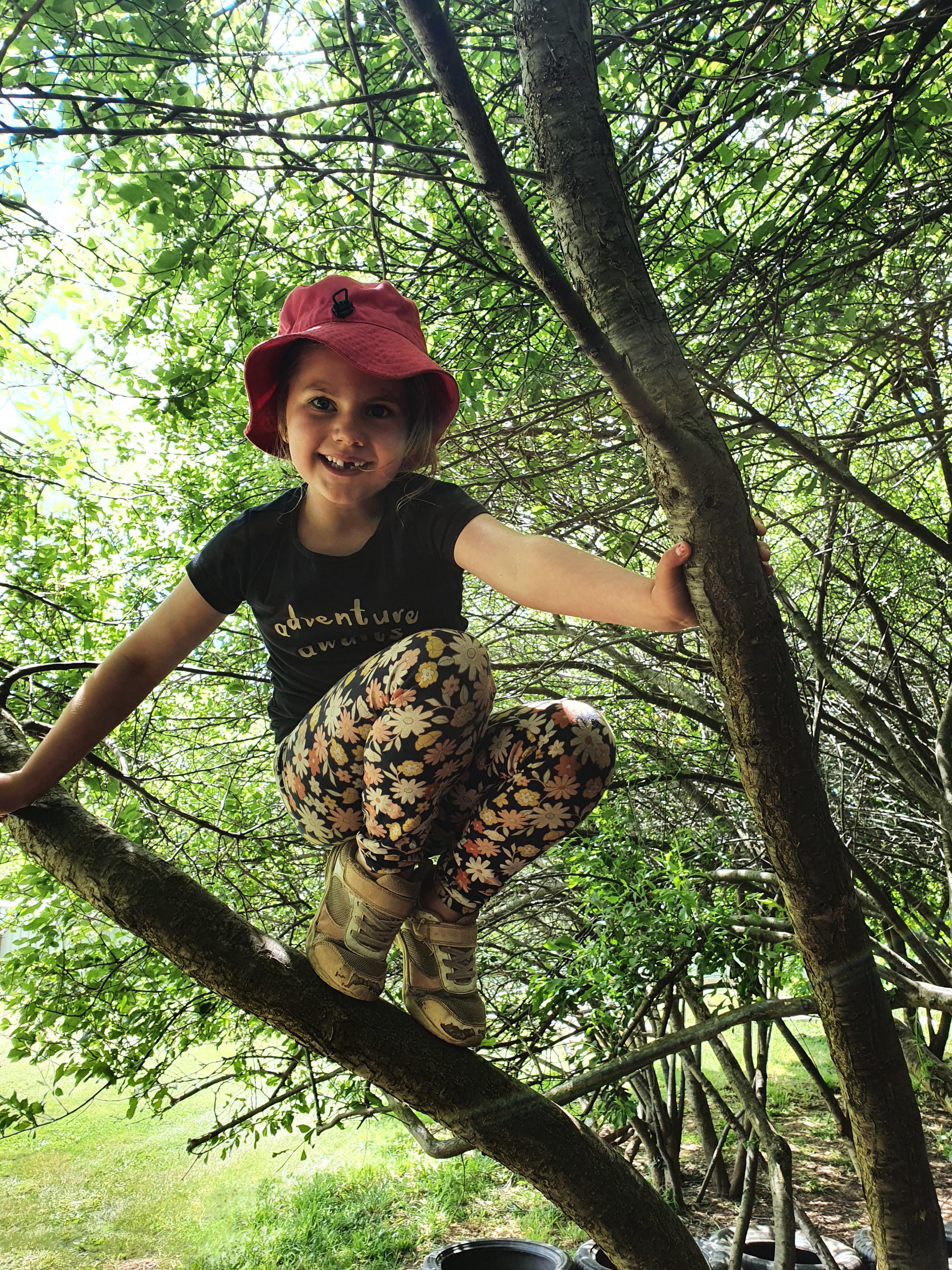 Images The Willows Preschool and Early Learning Centre