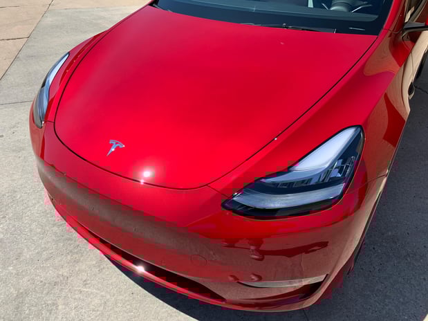 Images Evolution Customs