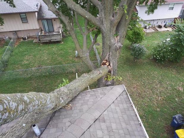 Images Ramirez's Tree Service