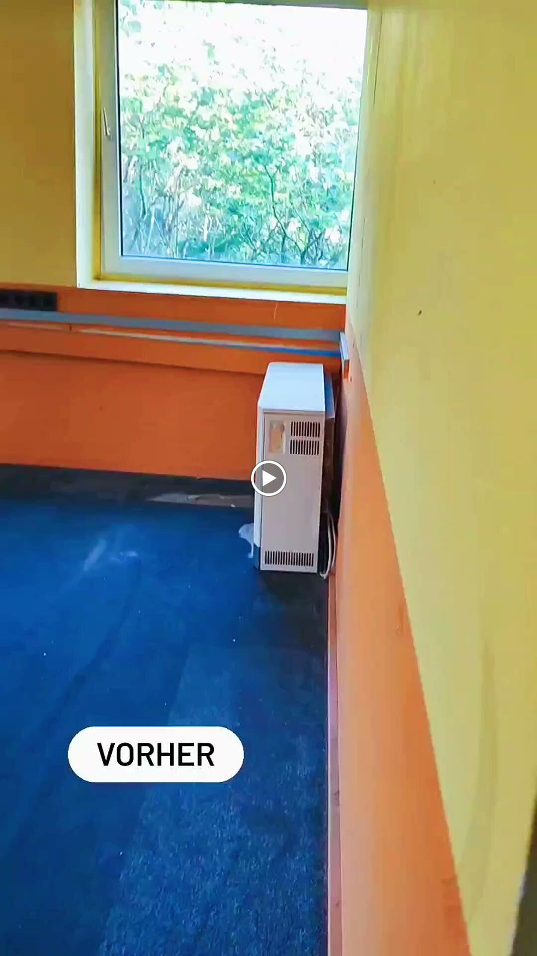 Bilder Hundezentrum Lapki