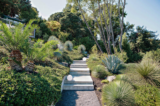 Images Dan Fix Landscape Construction Co.