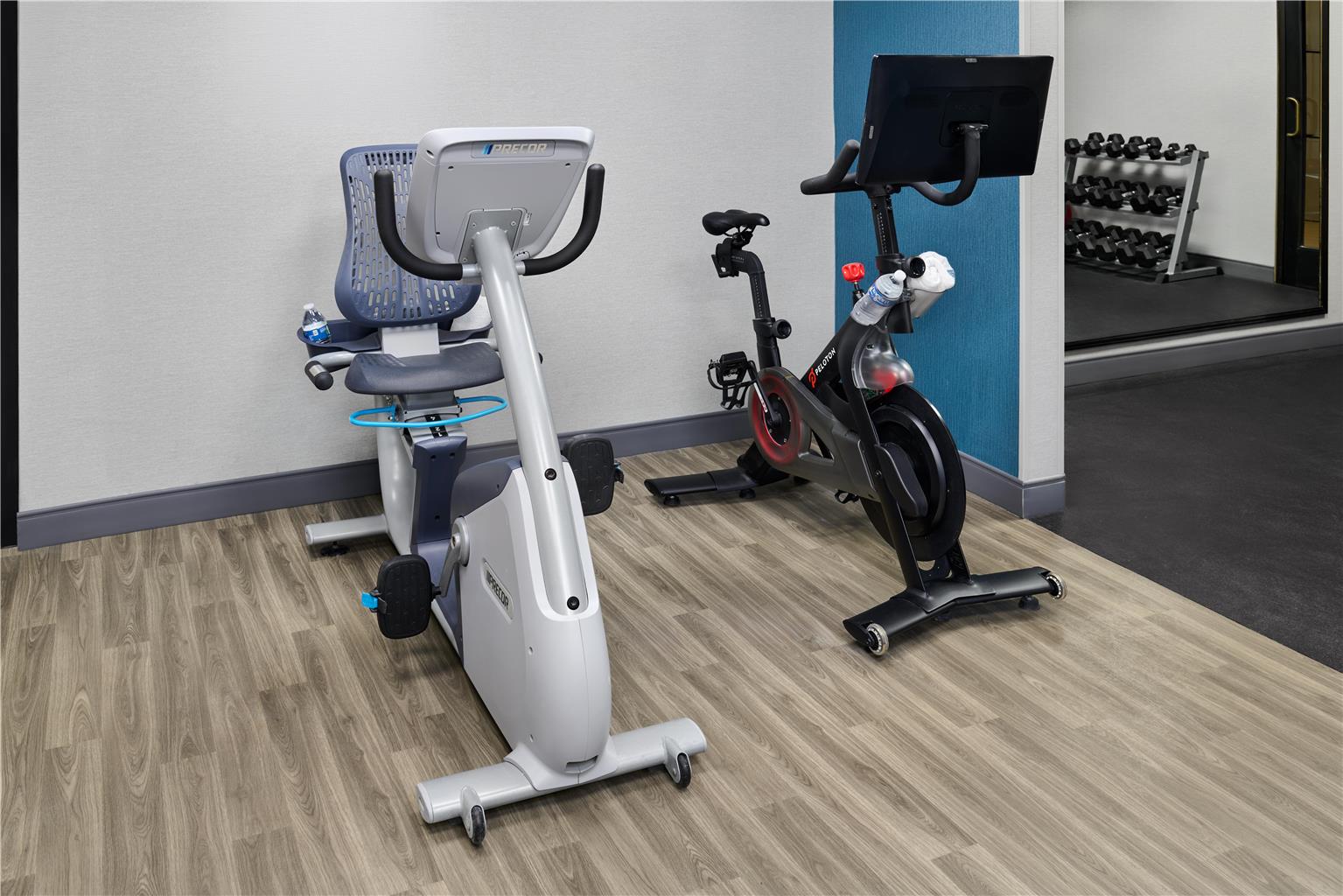 Health club  fitness center  gym