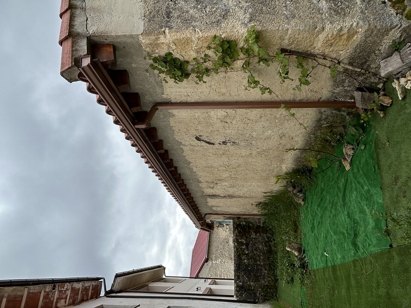 Images Canalones Diez Jose