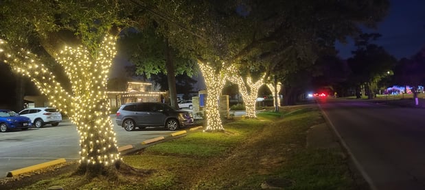 Images VCA Prestonwood Animal Hospital