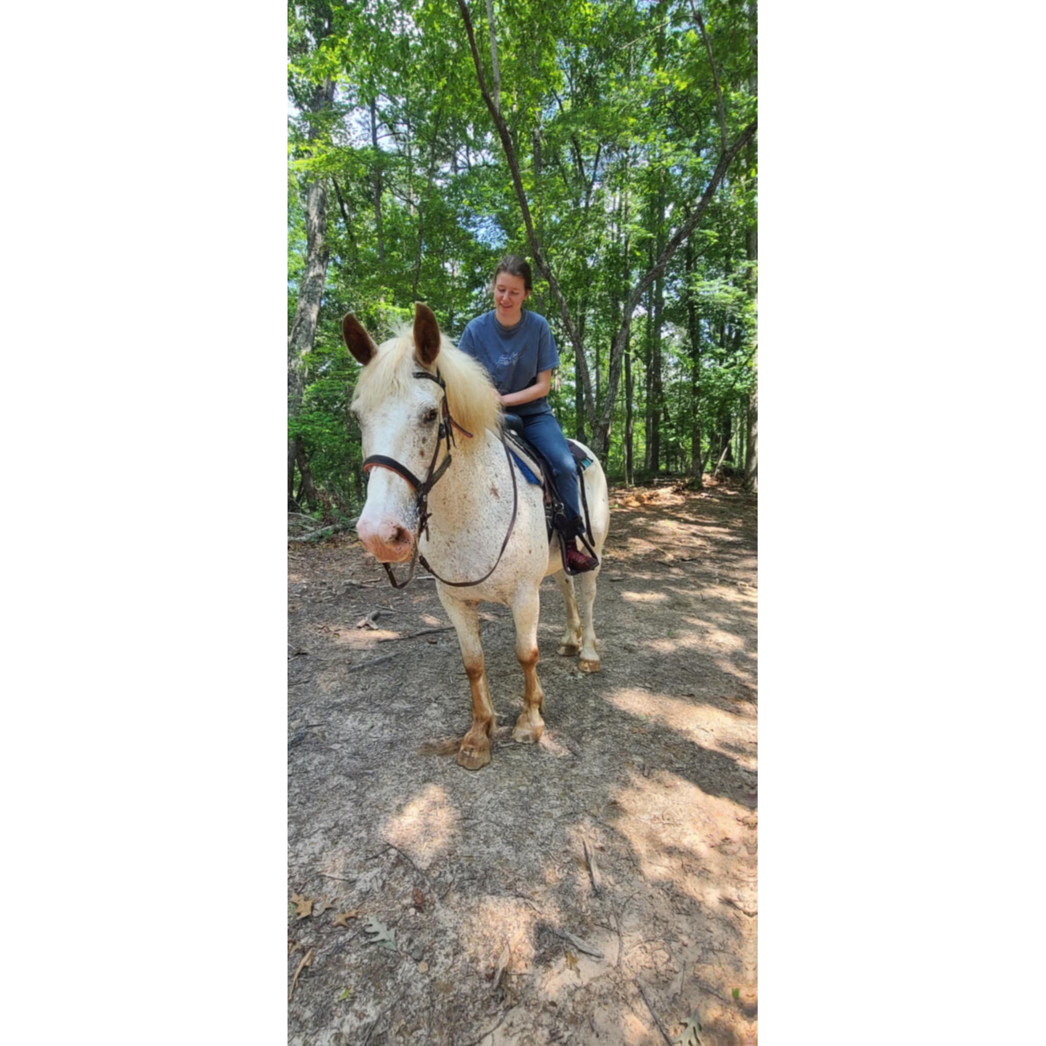 Ready for an Adventure