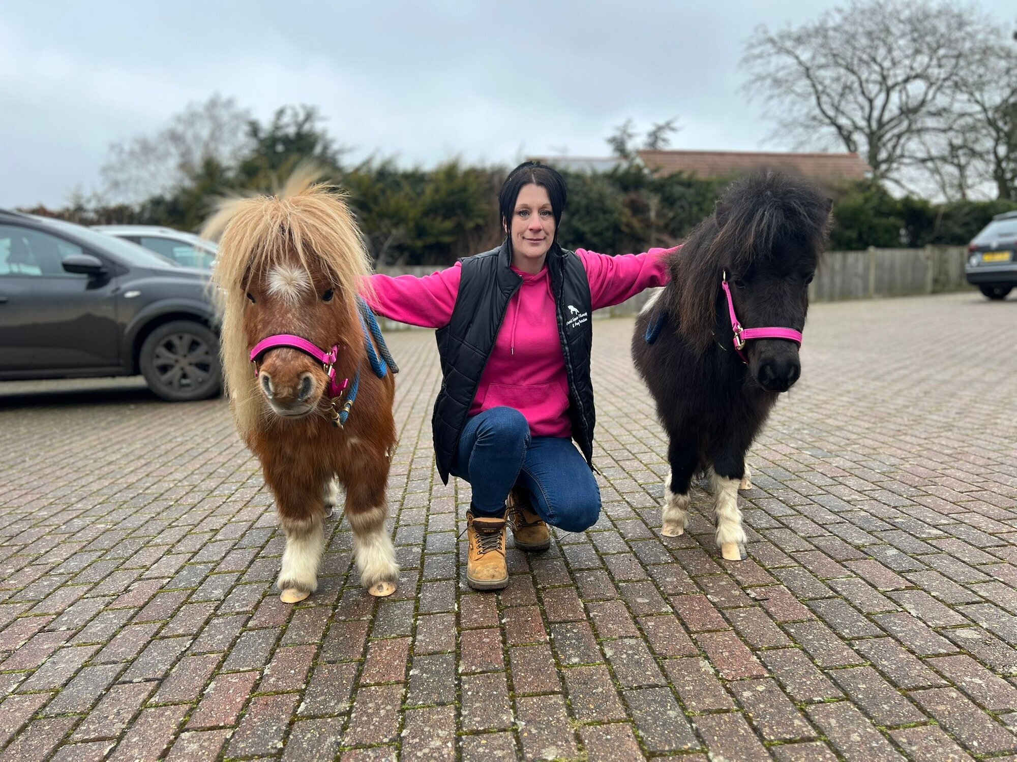 Images Kent Equine Therapy Ponies