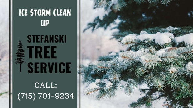 Images Stefanski Tree Service