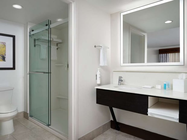 Images Hampton Inn & Suites Austin Downtown