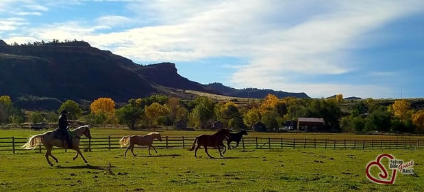 Images Sylvan Dale Guest Ranch & Wedding Venue