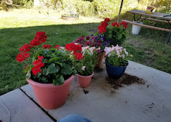 Mogote Meadow Cabins & RV Park Image