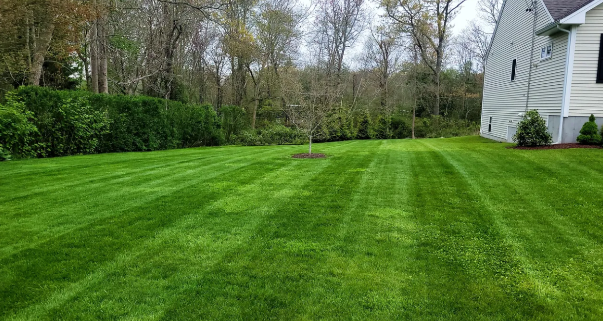 J Vick Lawn Care Image