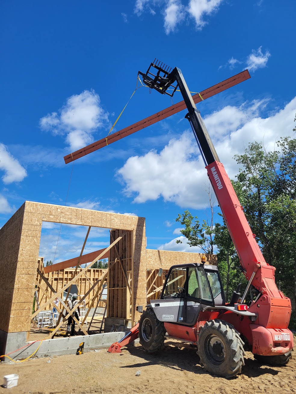 Images The Blue Spruce Builder
