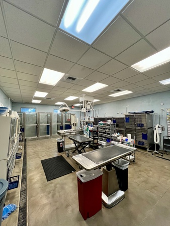 Images VCA Noah’s Place Animal Medical Center