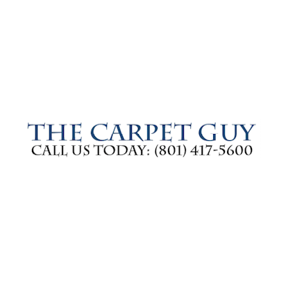 The Carpet Guy