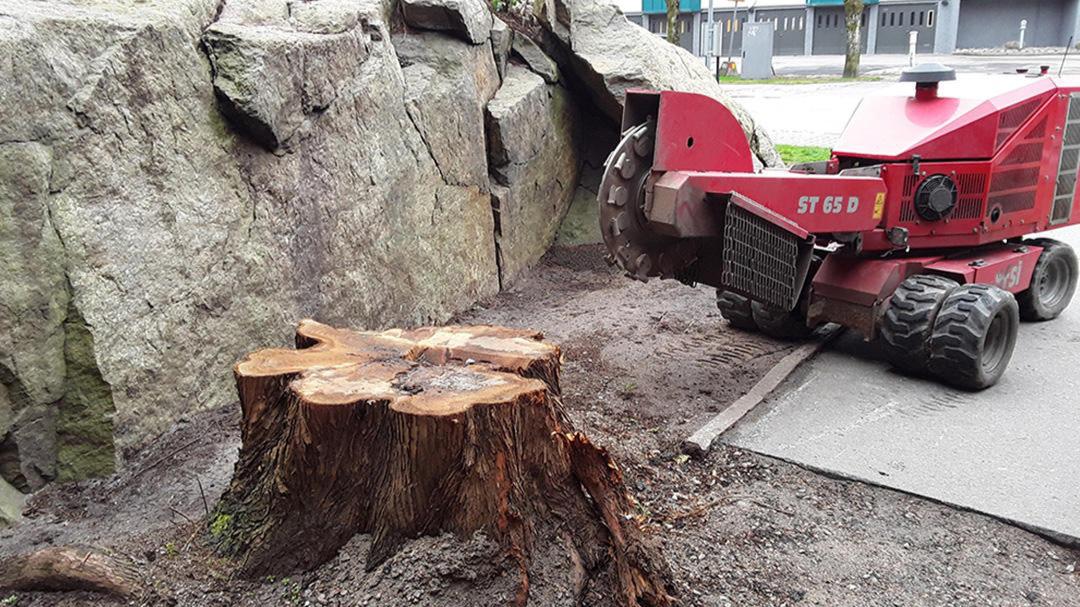 Images Full Fräs Hanssons Stubbfräsning
