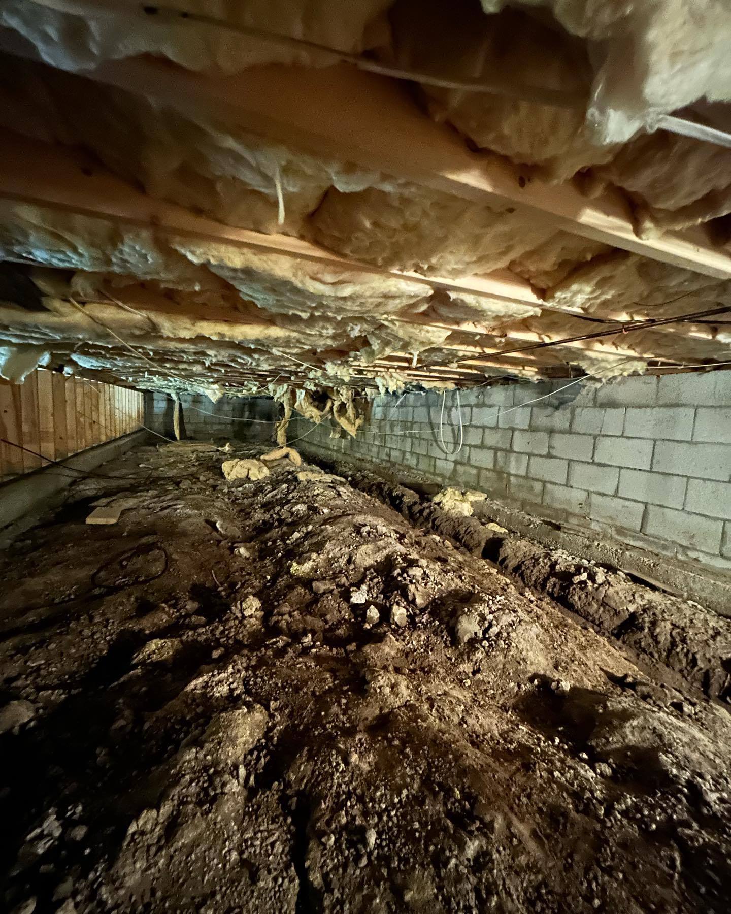 Animas Crawlspace