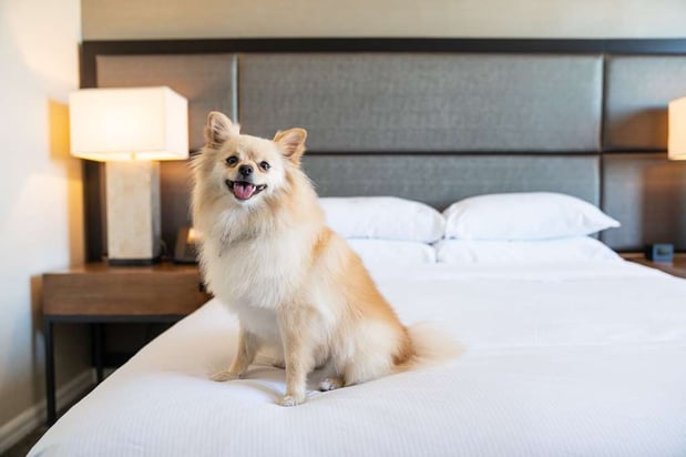Images DoubleTree by Hilton Hotel San Diego - Mission Valley