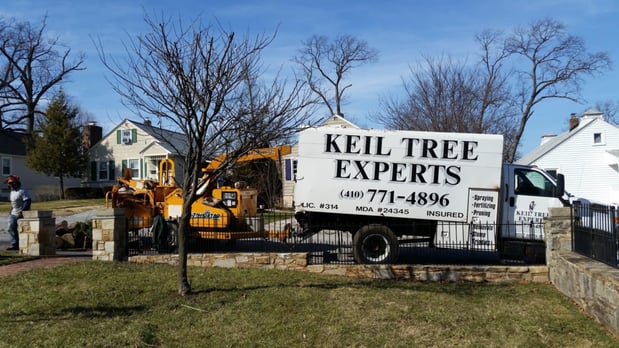 Images Keil Tree Experts Inc