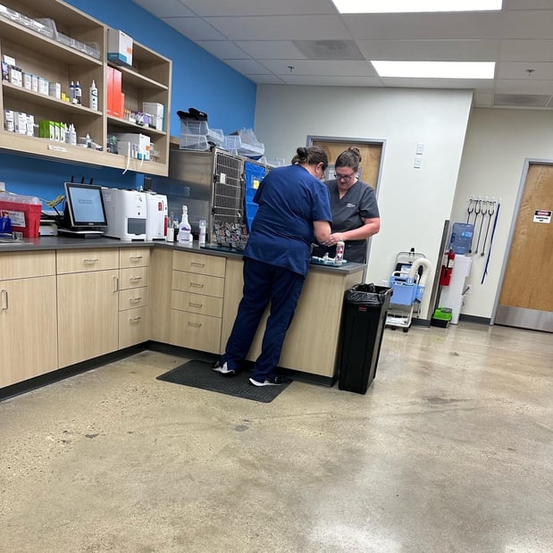 Images Vetco Total Care Animal Hospital