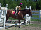 Images Star Ridge Stables