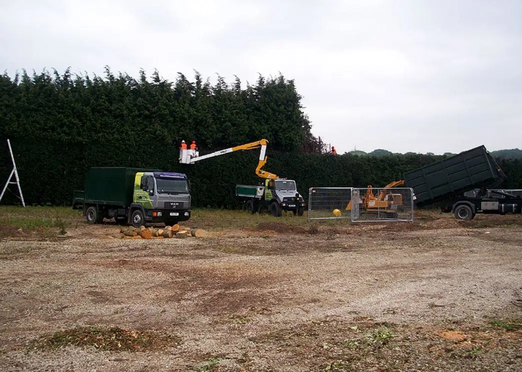 Images Yorkshire Tree Contractors