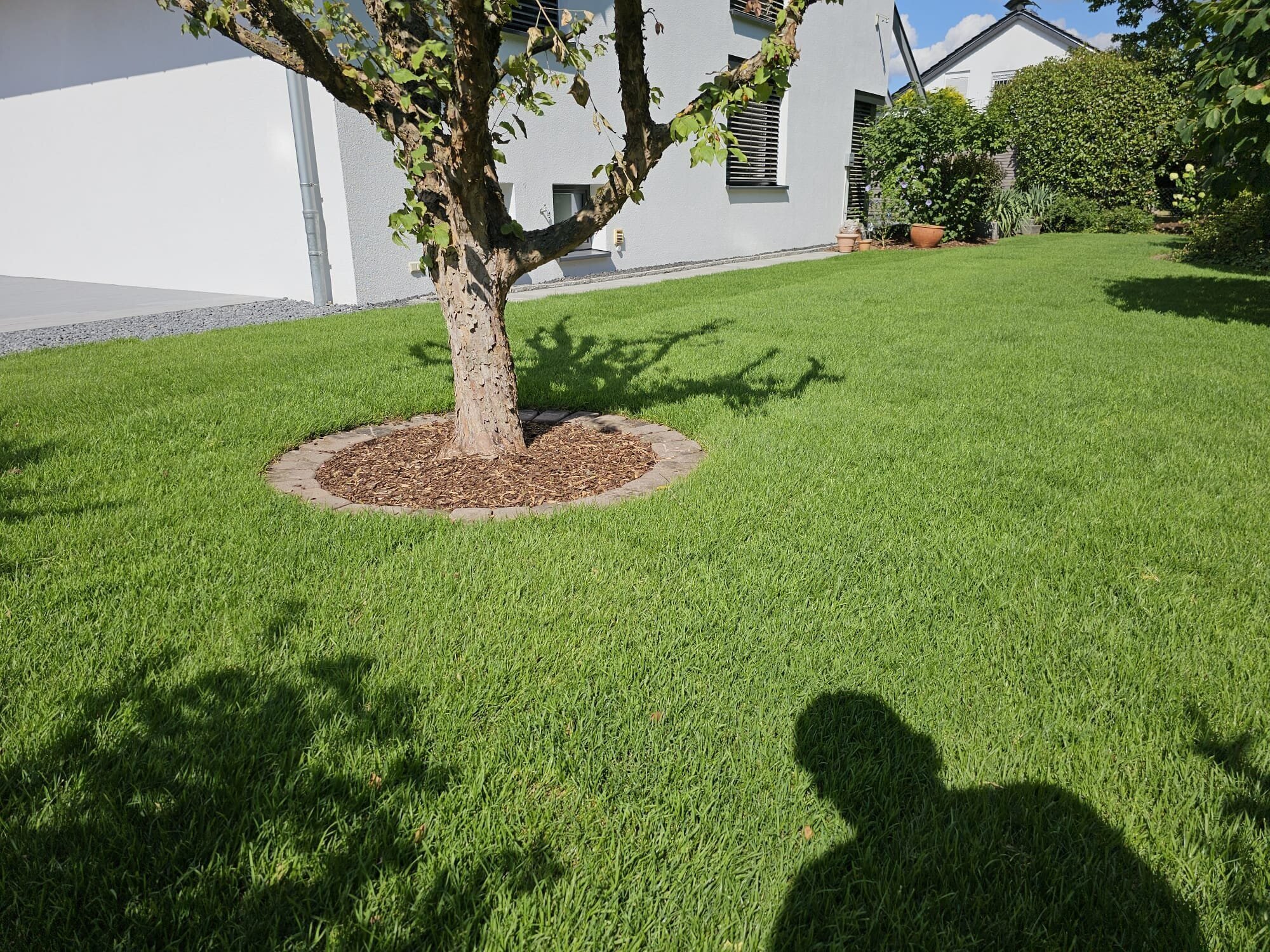 Hausmeisterservice & Gartenstyling in Offenbach Am Main