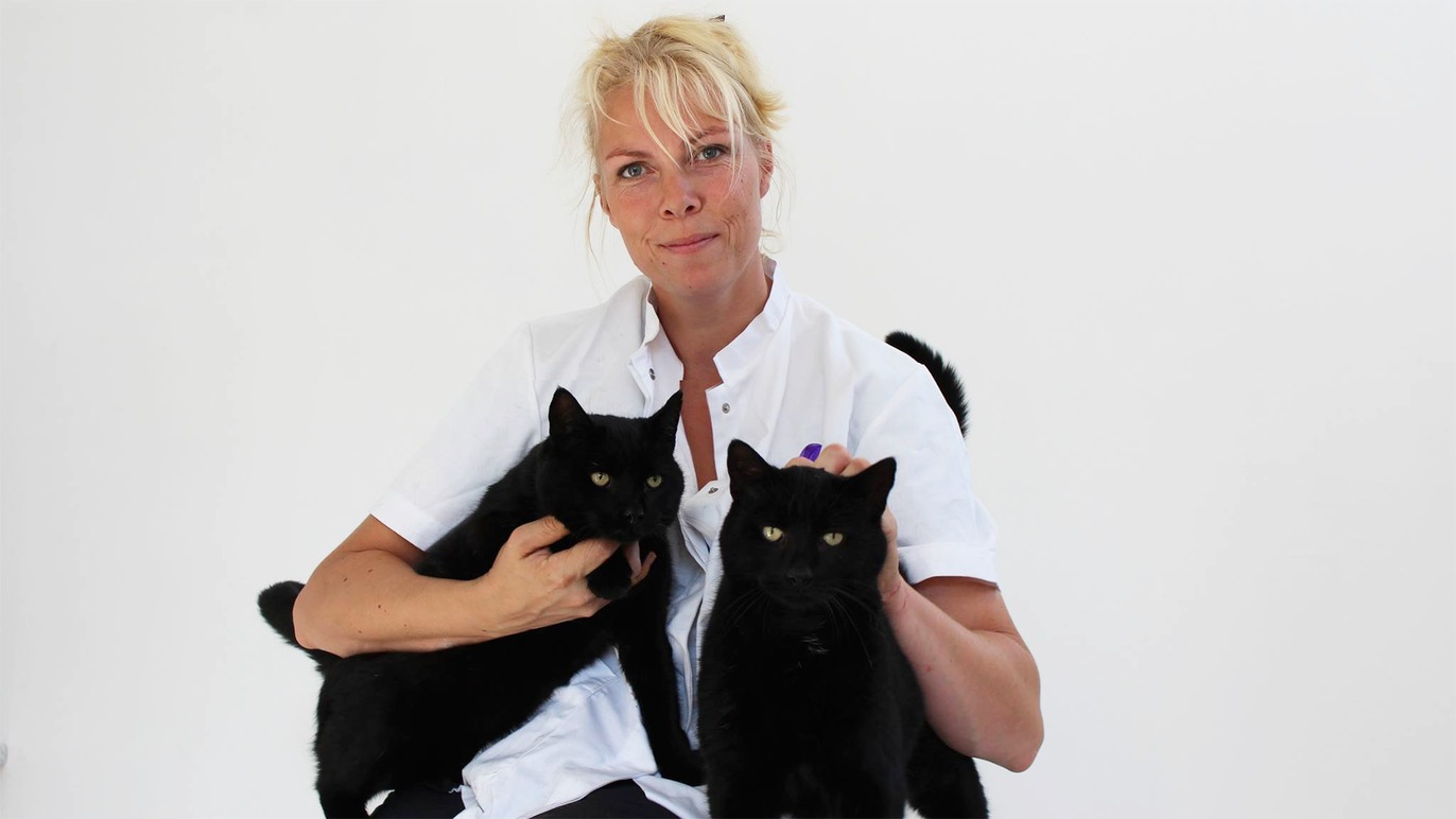 Images Sorana Dyreklinik & Kattepension