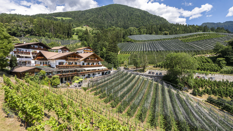 Images Hotel Moserhof