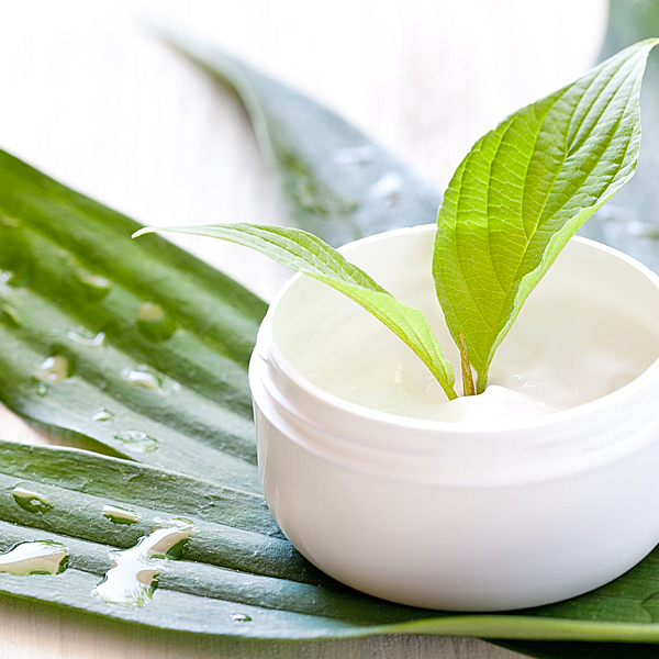 Kiss Cosmetic, Hochstrasse 294 in Schaffhausen