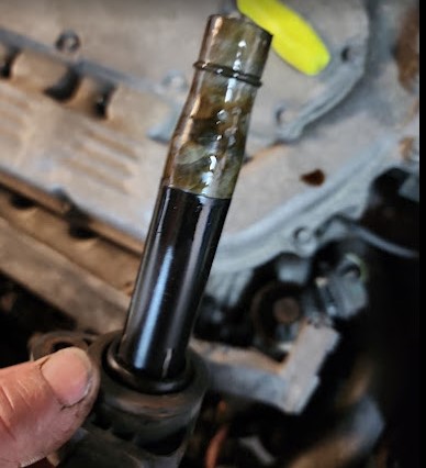 Images American  Automotive Services, Inc.