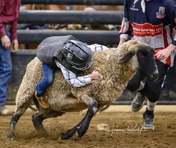 Images Garwood Arena