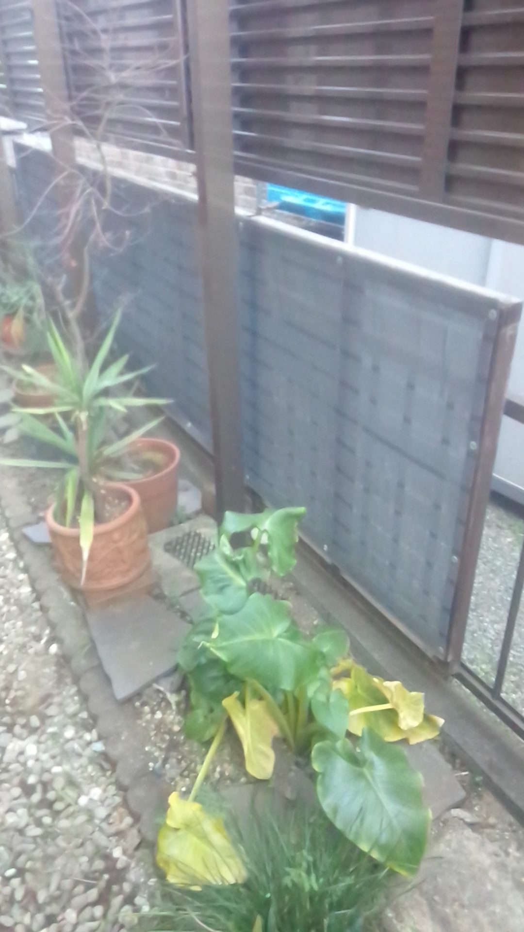 Images 岡田屋