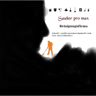 Sauber Pro Max in Kulmbach - Logo