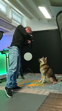 Fotogebell Hundefotografie - Carsten Pöhler Fotograf fotografiert Hund vor schwarzem Hintergrund mit Farbakzenten, professionelle Studiofotografie Münster mit Fokus auf Ausdruck und Farbe.