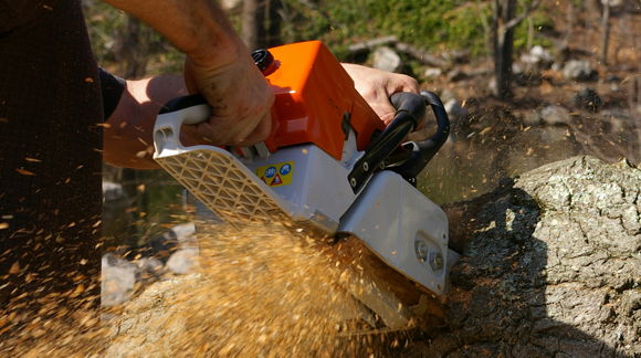Images Klapitohtorit