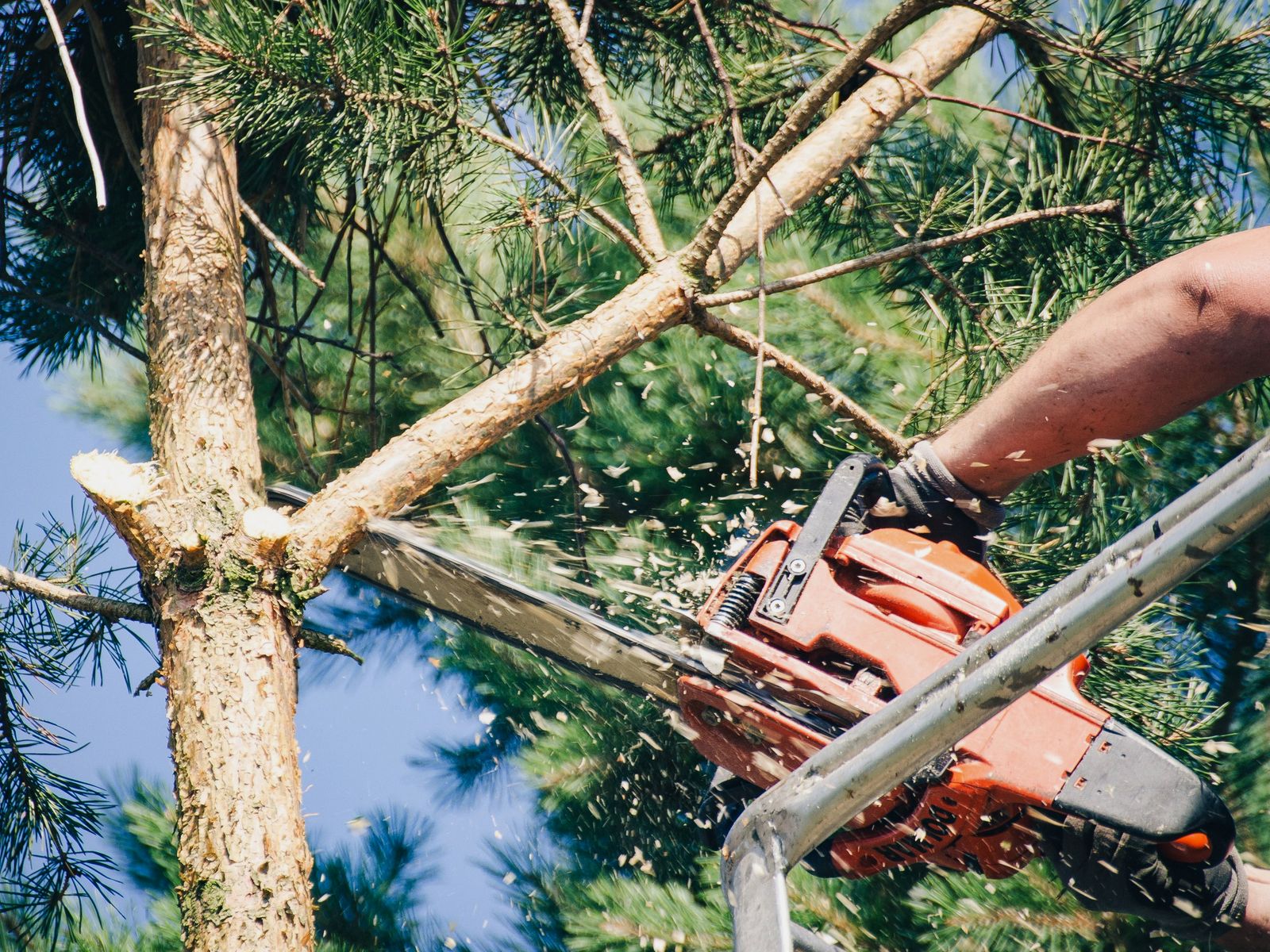 Power Tree Service & Landscaping LLC