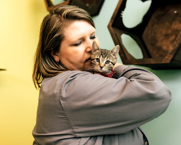 Images PetVet365 Pet Hospital Louisville / Jeffersontown