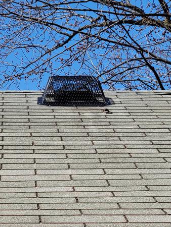 Images Expert Pest Control LLC