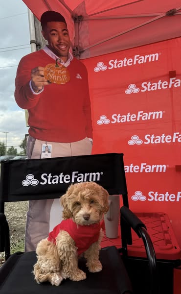 Images Sherri Branson - State Farm Insurance Agent